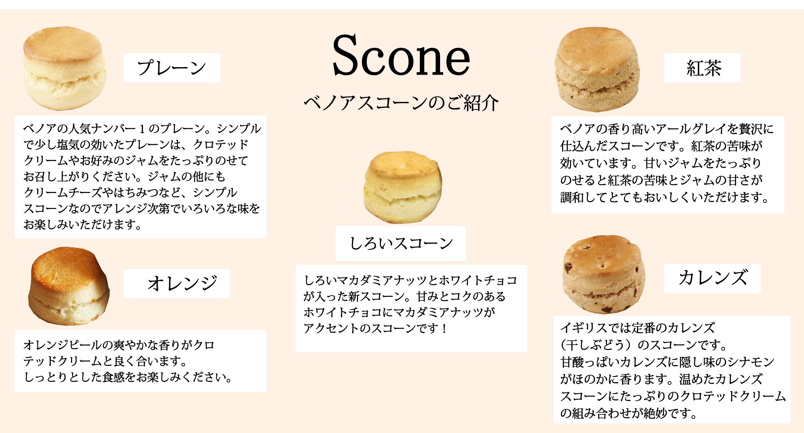 3月スコーンセット