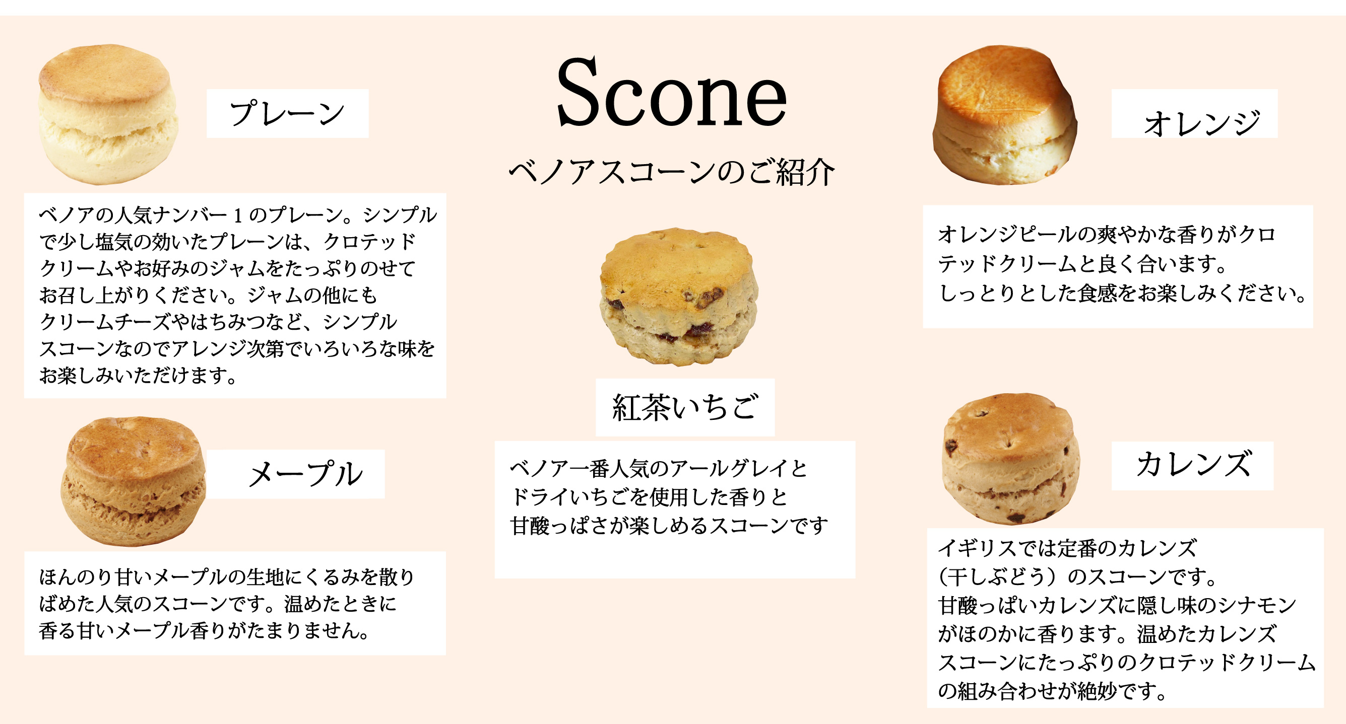 4月5月スコーンセット
